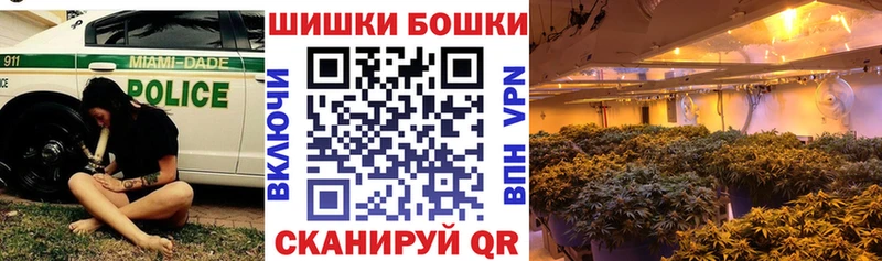 Наркошоп Сясьстрой КОКАИН  Гашиш 