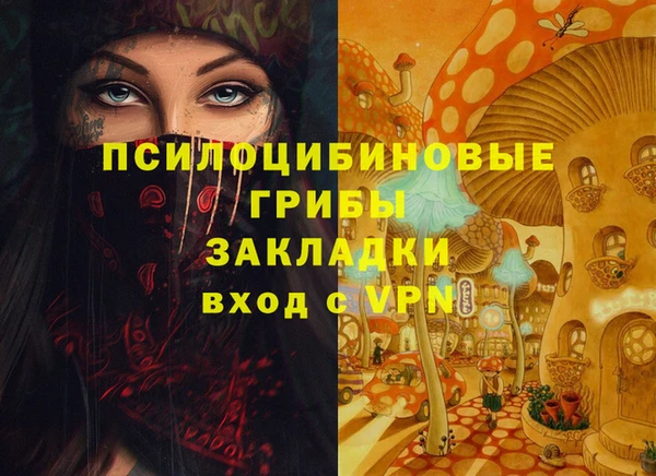 apvp Арсеньев