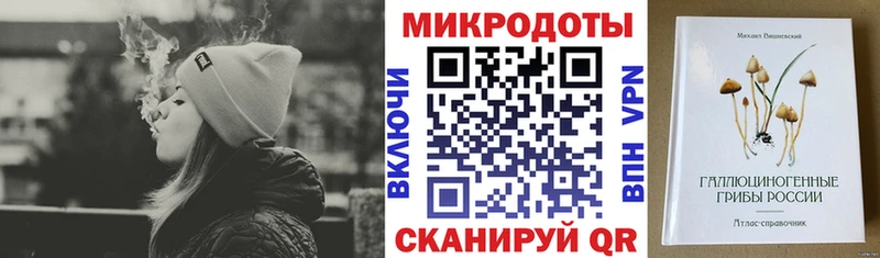 KRAKEN как зайти  Сясьстрой  Псилоцибиновые грибы ЛСД 